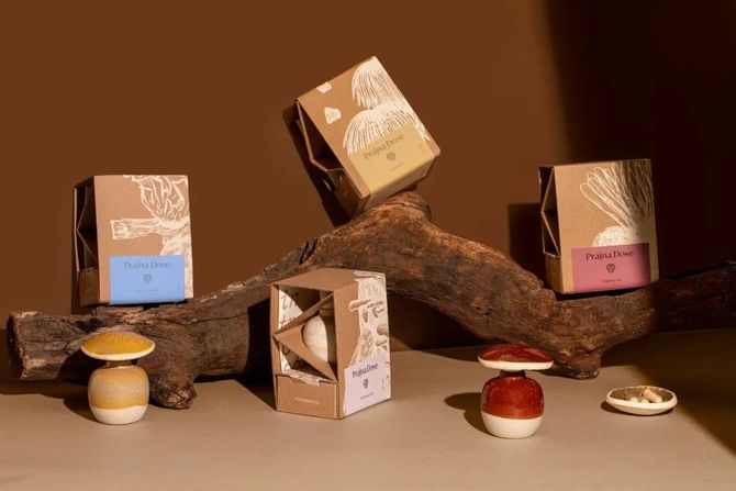 新知达人, 牛皮纸单色创意保健品包装设计