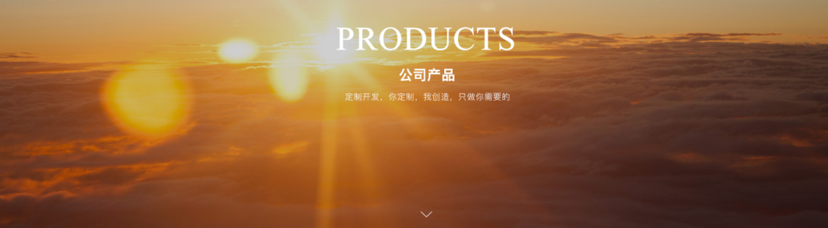 企服商城, 网站建设,煊东科技