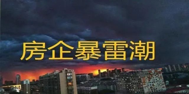 這些暴雷的企業不乏諸如恒大這等宇宙級別的地產大佬,本文整理了全國