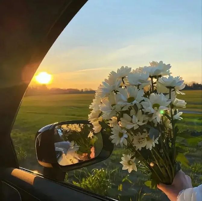 新知达人, 超治愈朋友圈背景图