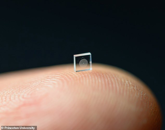 新知达人, 成像质量媲美手机？科学家开发出超小型相机：仅有盐粒一般大小
