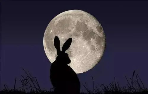 嫦娥的眼泪:月亮像女人一样美,男人跟权力一样坏!