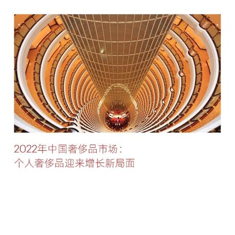 2022年中国奢侈品市场报告