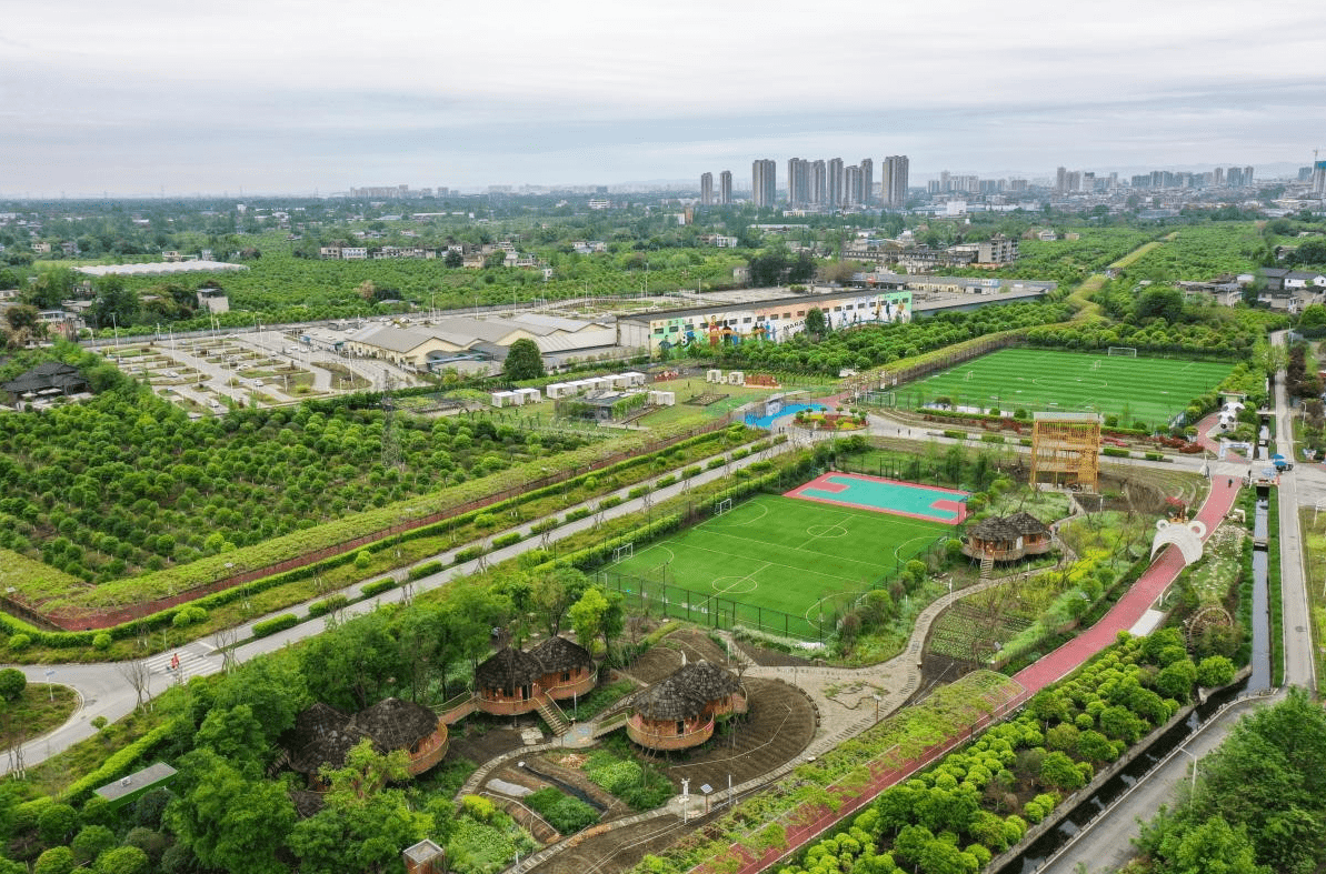 (芳華微馬公園)12,詩畫鄉村體驗遊:姚渡鎮武舉苑(青白江區)-客家杏花