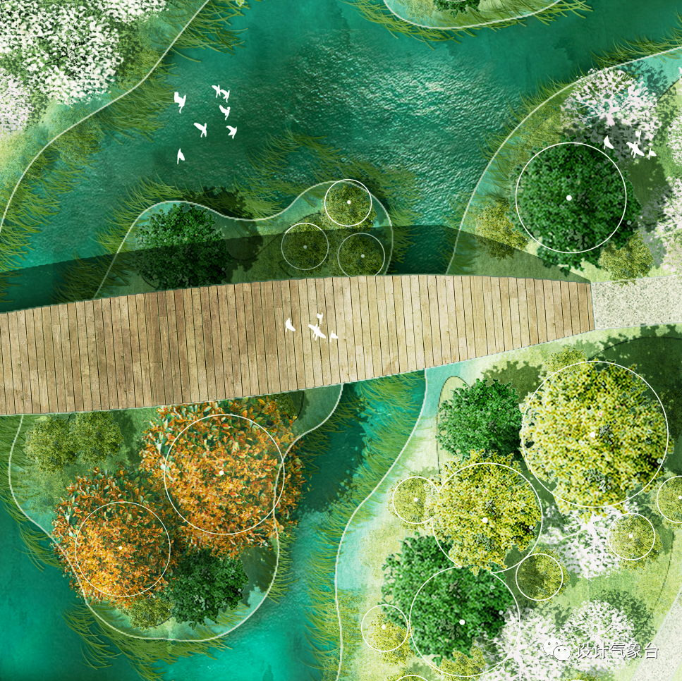 这套彩平素材,一定是神仙做的!_设计气象台-商业新知