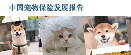 中国宠物保险发展报告-瑞再研究院