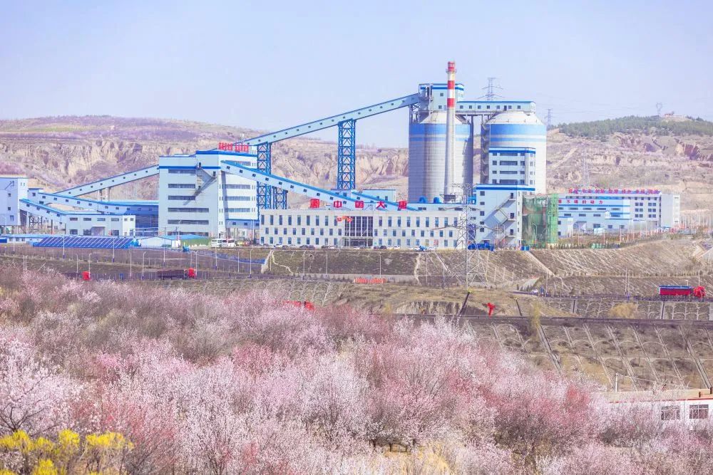 龙王沟煤矿图片