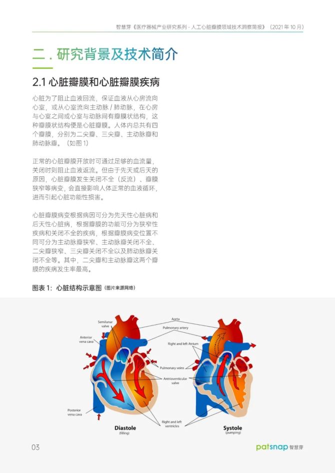 新知达人, 医疗器械产业研究系列一人工心脏瓣膜领域技术洞察简报