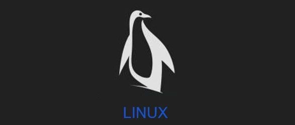 Linux查看文件和日志的常用命令