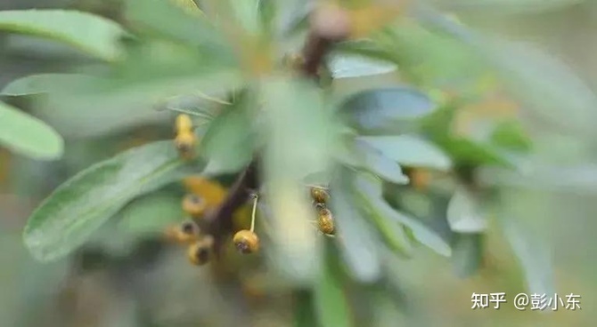 新知达人, 广告销售是我一生的事业 I 必须学会的心态调节方法