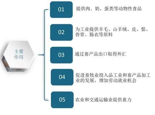 新知达人, 13转型战略,模式升级:三农满意模式,2022年中国农牧转型方向?(13)