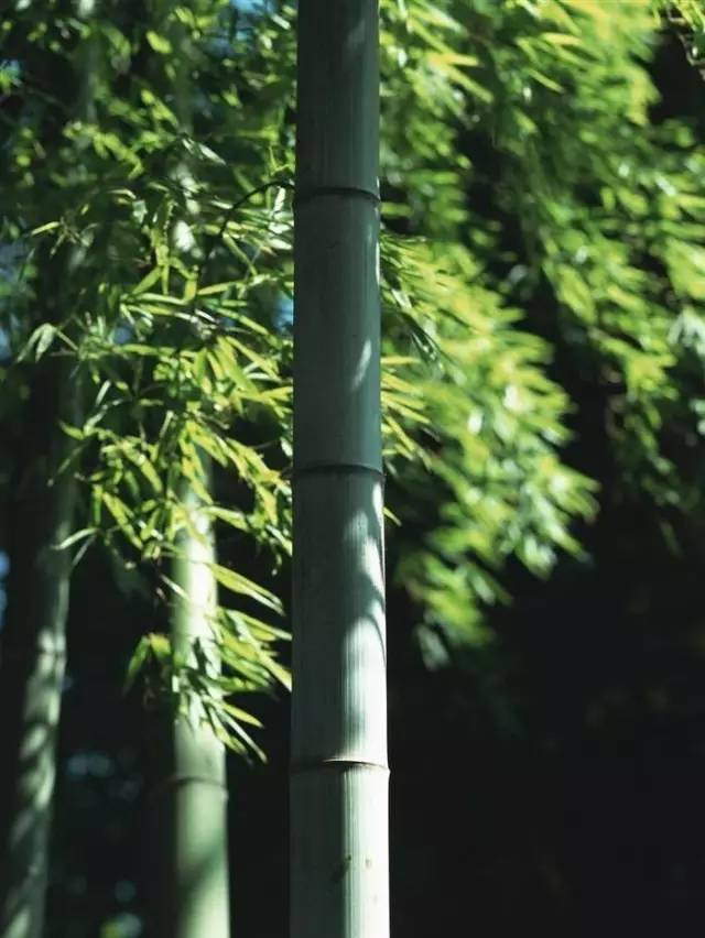 新知图谱, 一入职场深似海——你熬过了那三厘米吗?