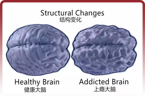 报告显示