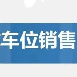 【干货】某项目车位销售方案
