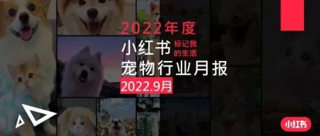 小红书·2022年宠物行业9月月报