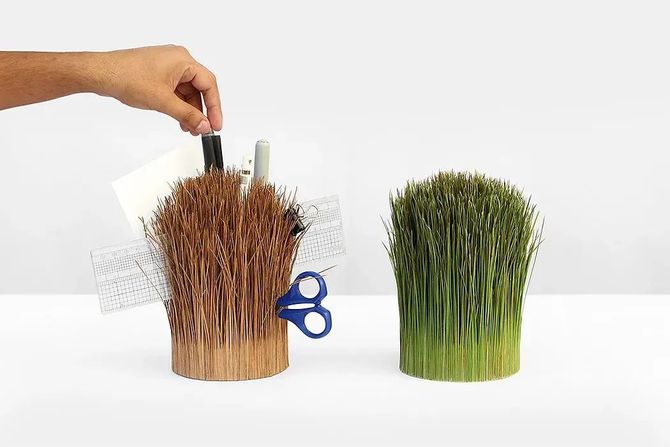 浪设计, 好设计 | 大自然是最好的灵感库,10款创意仿生设计!