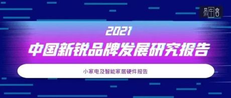 《2021中国新锐品牌发展研究报告》小家电及智能家居硬件报告！