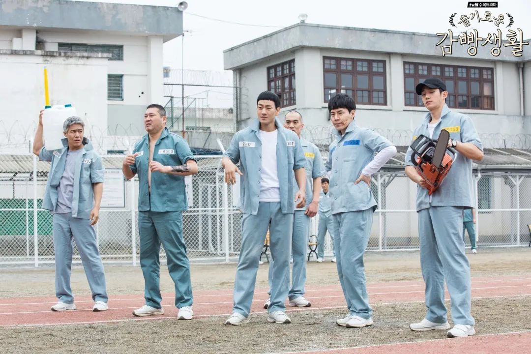 新知图谱, “机智生活”系列的综艺智慧:韩国剧综之间也有共通的创作经验?