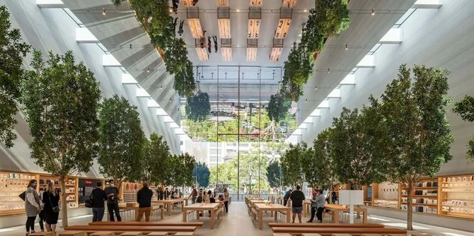 新知达人, Foster + Partners | 洛杉矶Apple新店种满树木,体验一个充满活力的空间