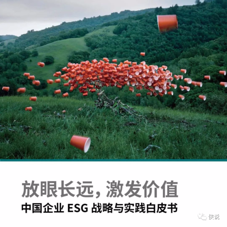 中国企业ESG战略与实践白皮书：放眼长远，激发价值（贝恩）