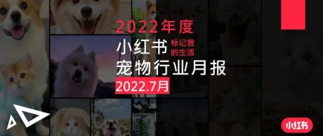 小红书2022年宠物行业月报7月