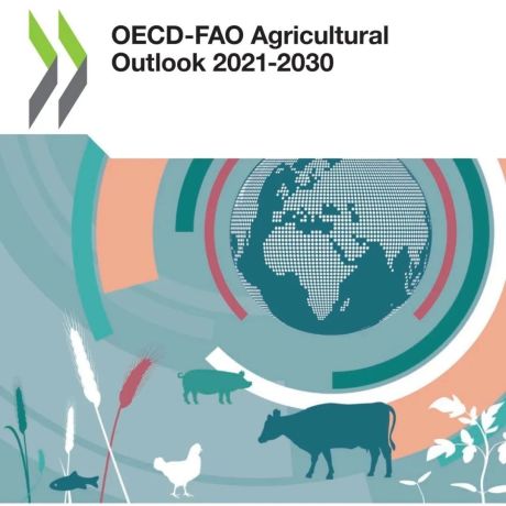 粮农组织2021-2030年农业展望