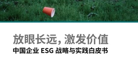 10步实现 ESG 转型，《中国企业ESG战略与实践白皮书》