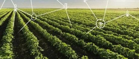 “数字农业”的发展趋势与实践