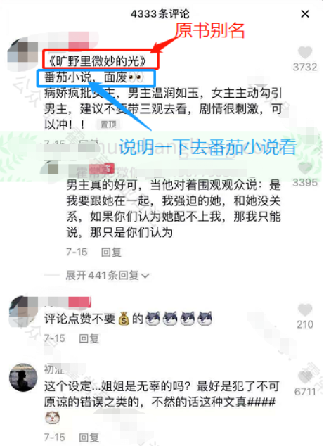 海外抖音, 抖音推番茄小说会限流吗？番茄小说在抖音如何推广