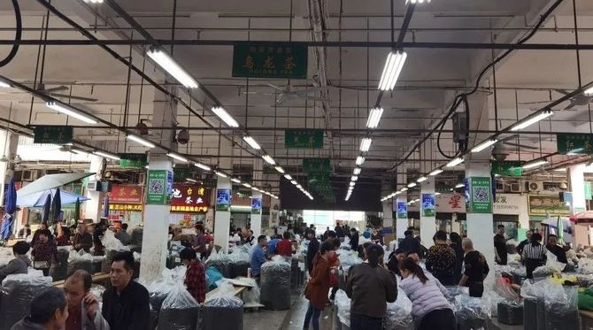 新知达人, 30万安溪茶商闯天下：全国开店4万家，瓜分茶叶经销网络“半壁江山”