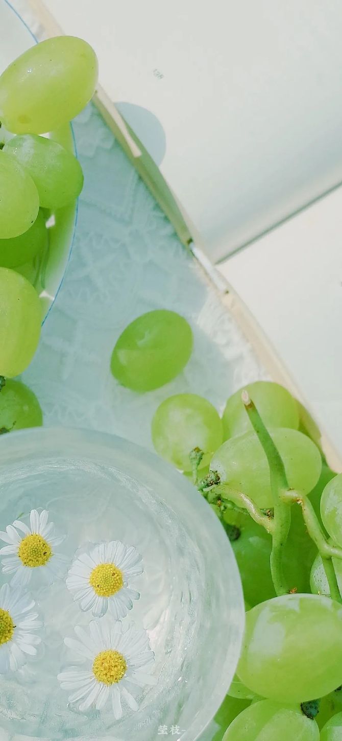 壁纸丨一些绿色和白色