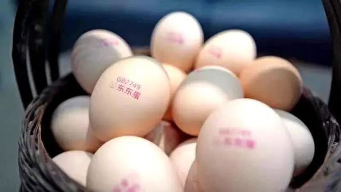 新知达人, 东东蛋业，好东东——访“鸡蛋界董明珠”黎来凤