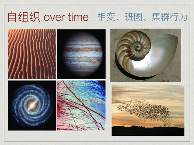 新知达人, 对称性破缺与涌现——复杂科学与艺术之间的共鸣