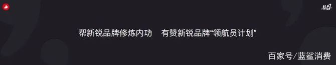 新知达人, 有赞白鸦:基于内容的兴趣消费引领新的消费需求转移