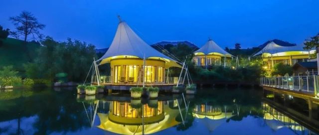 国内首家野奢帐篷酒店，享270°茶园景观，安吉真的卧虎藏龙！