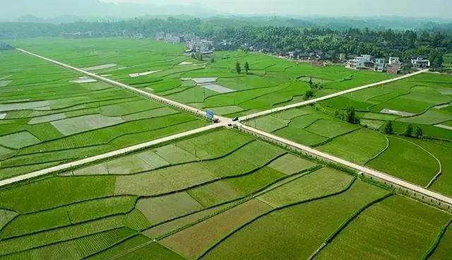 农业行业观察, 【政策解读】高标准农田如何建设?