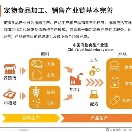 2021年中国宠物经济产业研究报告