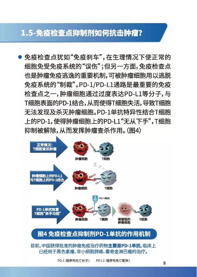 腫瘤免疫治療患者教育手冊概述不良反應及自我管理