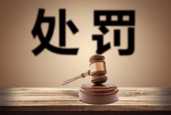 谭浩俊, 经济困难之时，罚款行为更要规范