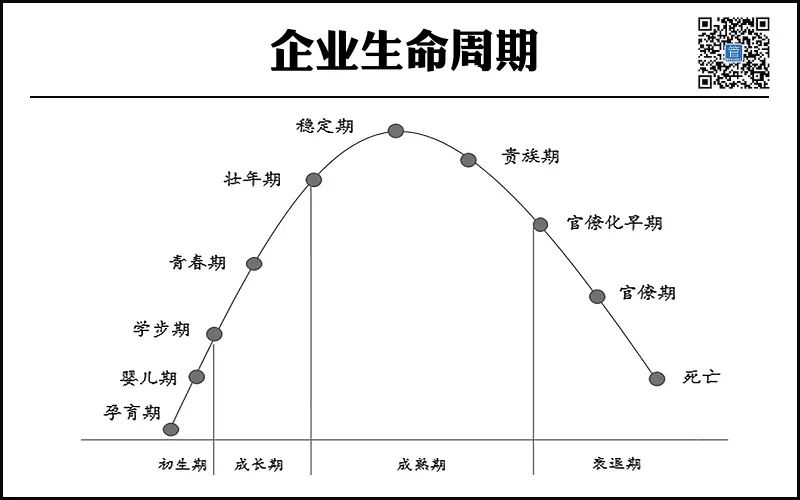 企业生命周期曲线图片