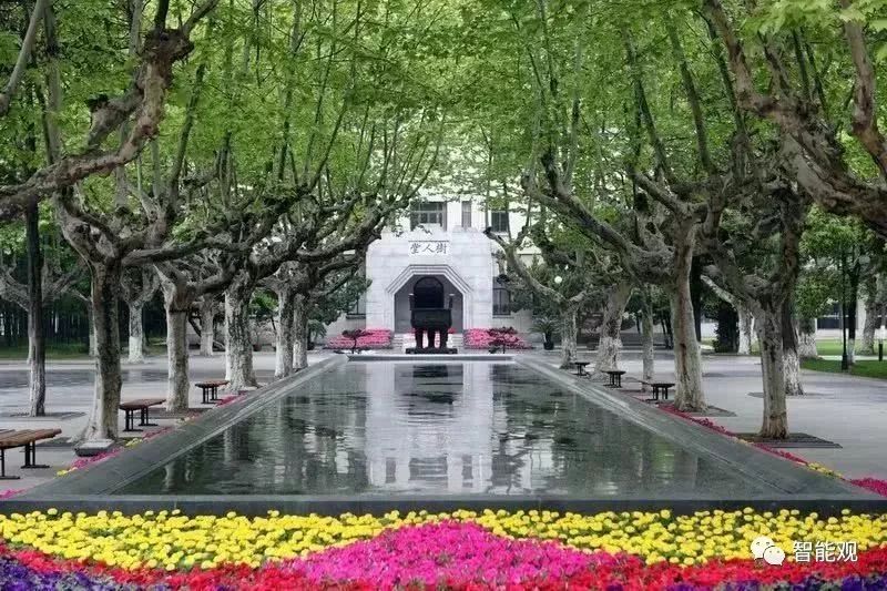 新知图谱, 关于中美教育的差距,这个美国小学生在中国的经历,能给你更直观感受