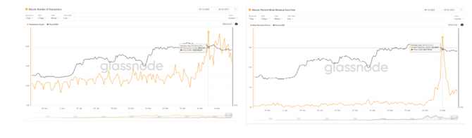 新知达人, Glassnode 数据研究：回顾比特币铭文爆发的“疯狂一周”