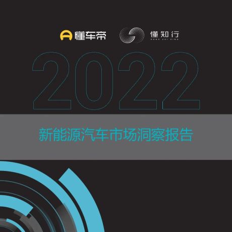 2022新能源汽车市场洞察报告