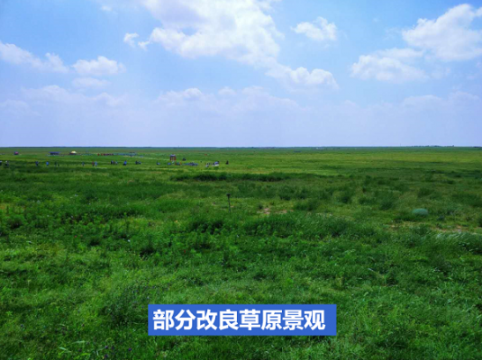新知达人, 旅游“后浪”掀翻Z世代旅游巿场