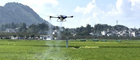 贵州 | 高产水稻田关键防控时期，极目无人机“大显身手”