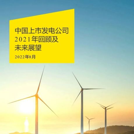 2021年中国上市发电公司回顾及未来展望