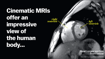 爱上黑科技, 涨知识