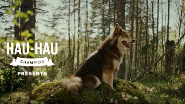 国外创意二维码广告：芬兰知名狗粮品牌居然在大街上讲狗话！