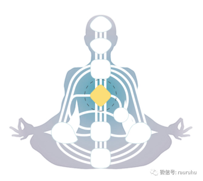 自我投射权威在人类图区分的科学里太短来个plus