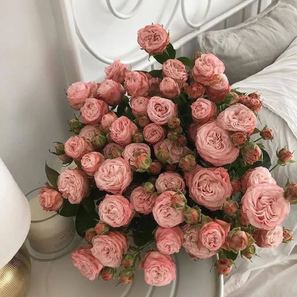 高级ins风朋友圈封面背景图_萌于予-商业新知